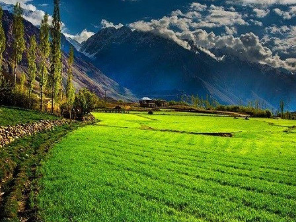 clean and green Pakistan